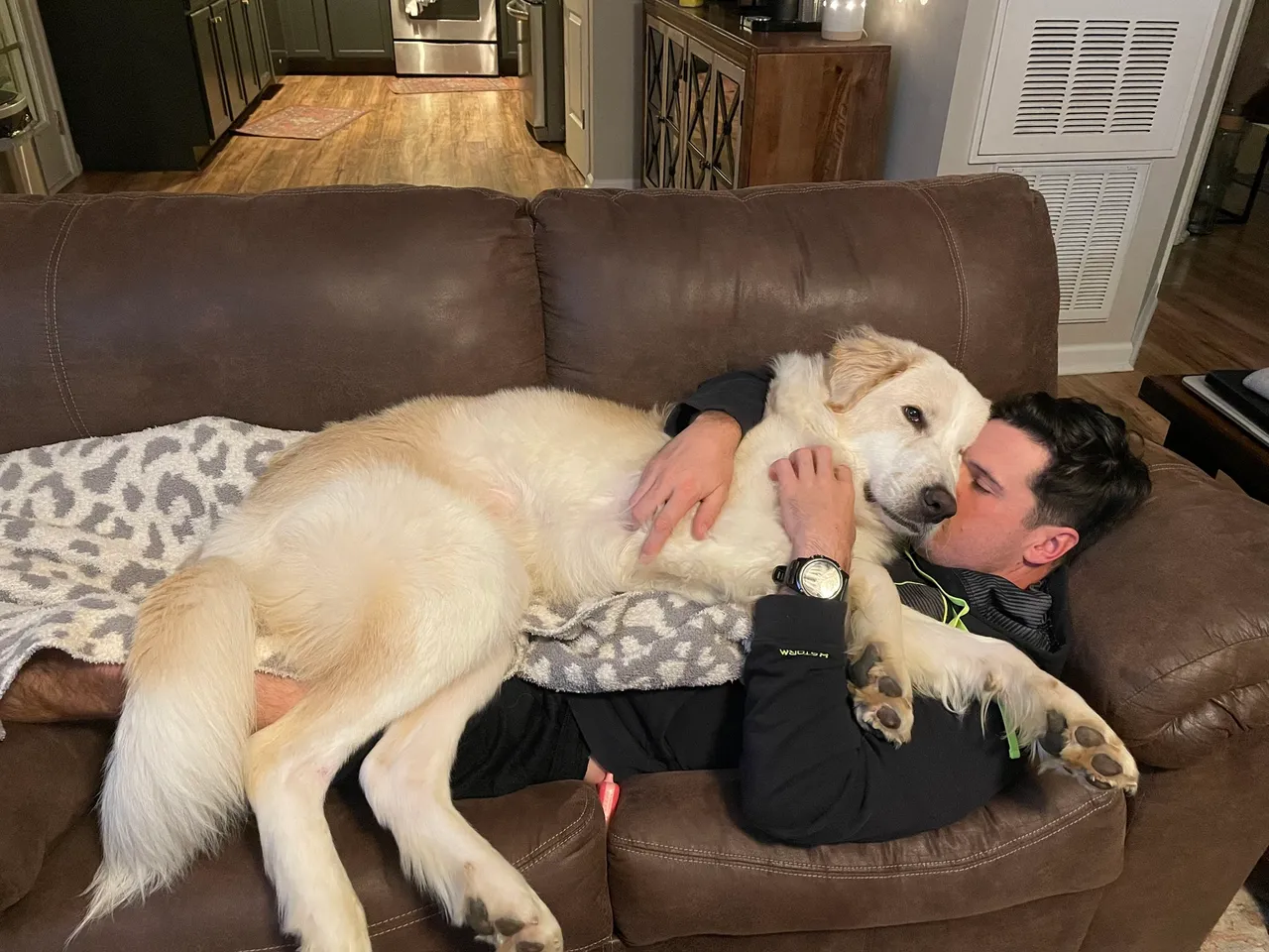 雷诺在新家得到满满的爱。图／韦克郡防止虐待动物协会SPCA of Wake County提供