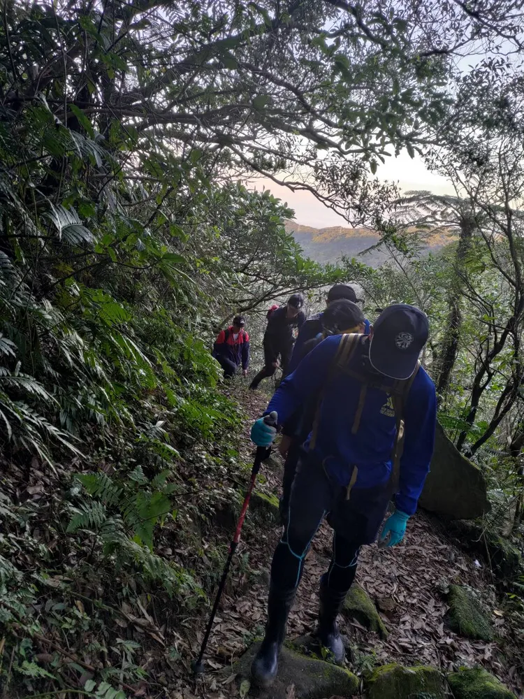 消防人員搜索山區，找尋迷途的登山客。翻攝畫面