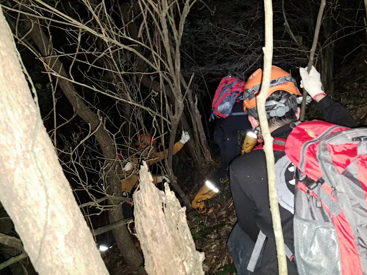 搜索近6小時，消防人員終於找到迷途的登山客。翻攝畫面