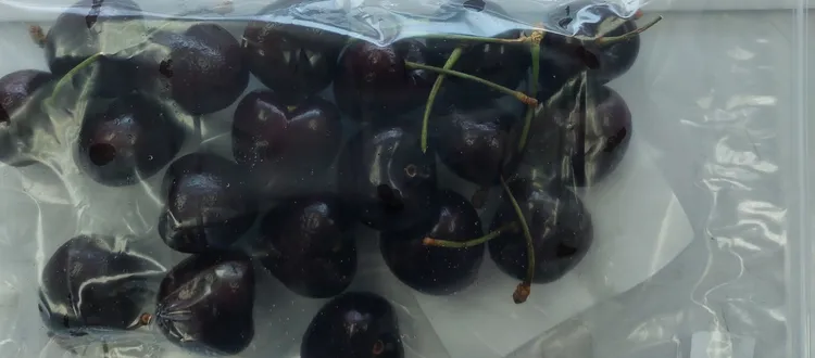 智利櫻桃。食藥署提供