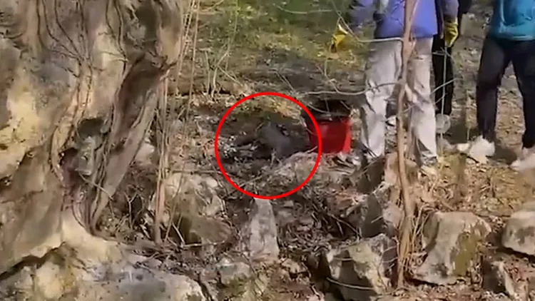 園方將小老虎屍體撈出。翻攝自《大象新聞》