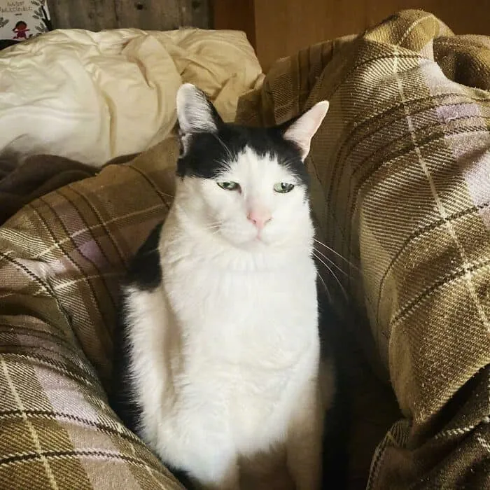 翻攝自IG pancho0002