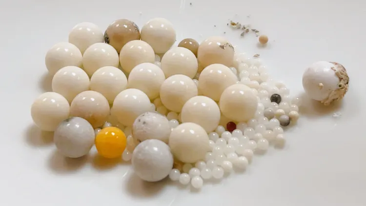 星雲大師遺骨中的圓形結晶舍利子。圖佛光山提供。