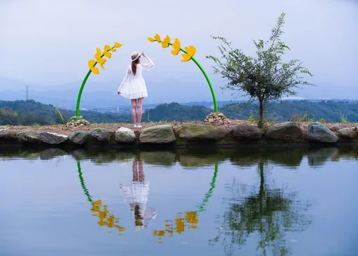 大北坑魯冰花季!228連續假期 龍潭警分局加強交通疏導措施