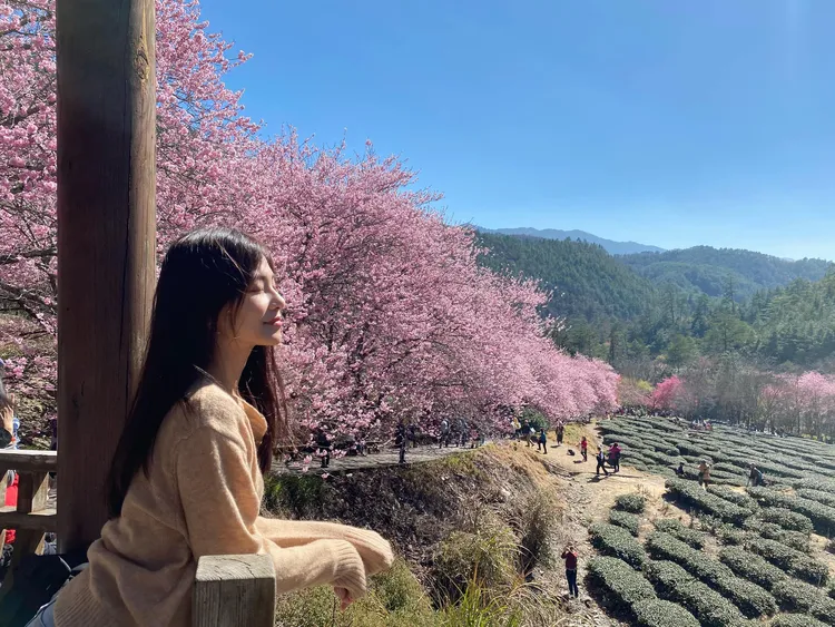 翻攝自高學學臉書