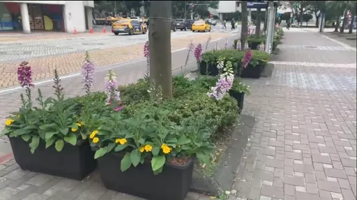 帶寵物遊燈會小心!這2展區用有毒植物造景 蔣市府挨批螺絲鬆