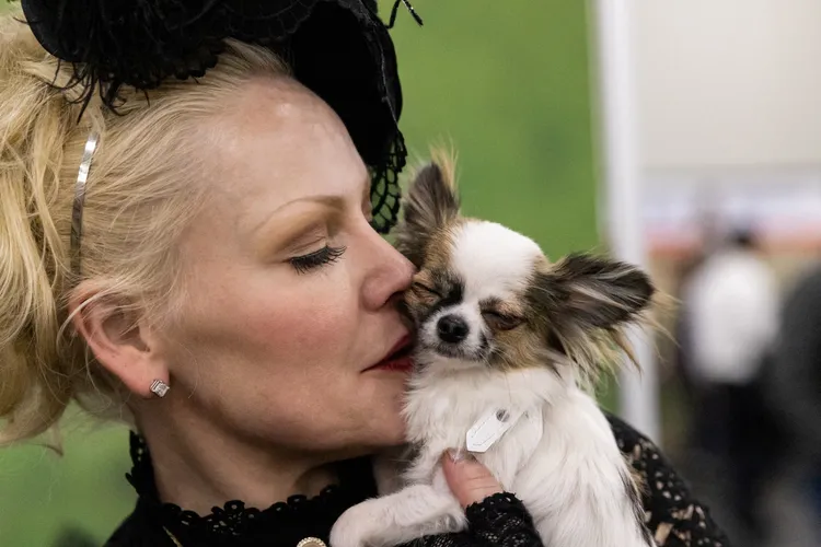 吉娃娃「自由」。路透社