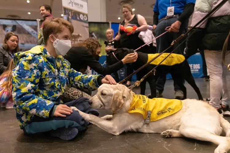 拉不拉多「露娜」。路透社