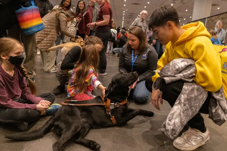拉不拉多「海登」。路透社