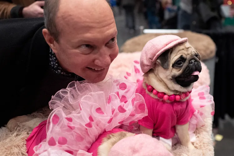 民眾與巴哥「派蒂」合影。路透社