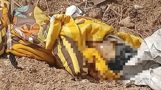 女同志劈腿家暴男 女友不在乎!反而男友吃醋殺了她