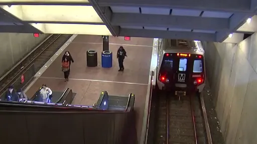 狗狗到站不下車 列車關門「用遛狗繩把飼主拖死」