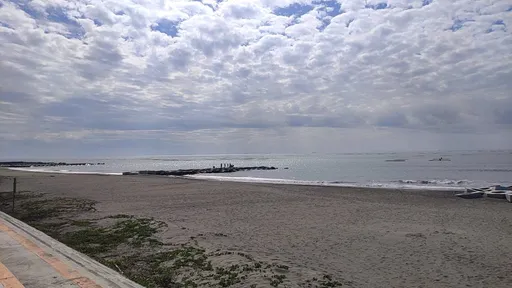 台南黃金海岸1女落水呼救　好險！驚魂14分鐘迅拉上岸