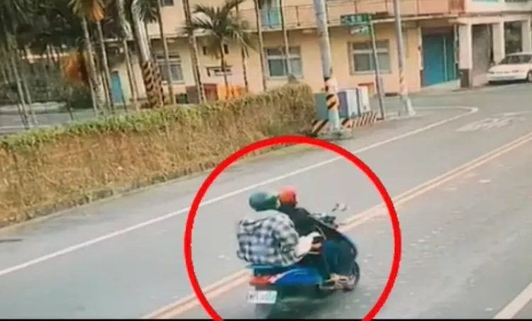 柯爾鴨「寶寶」逃竄到馬路上，被鄭男抱起載走。讀者提供