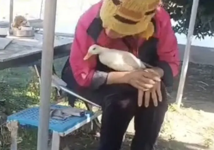 柯爾鴨「寶寶」走失後，經警方協尋，終於重回主人薛姓女子的懷抱。讀者提供