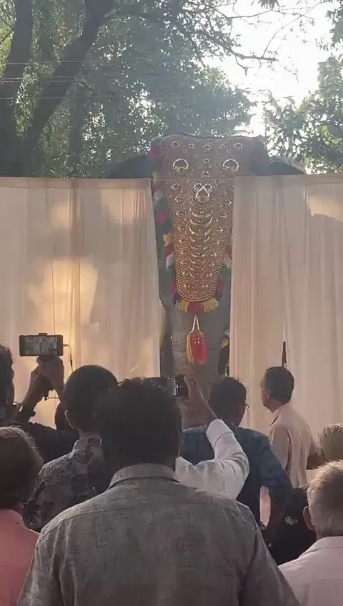 放過大象吧 印度神廟首創用機器象祭神