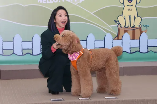 陶晶莹抖出曹佑宁被狗咬溅血 郭书瑶专治猛犬「快爆炸」