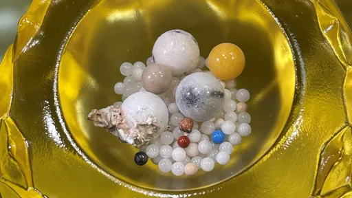 舍利子是体内结石? 星云大师医疗团亲曝他生前病史