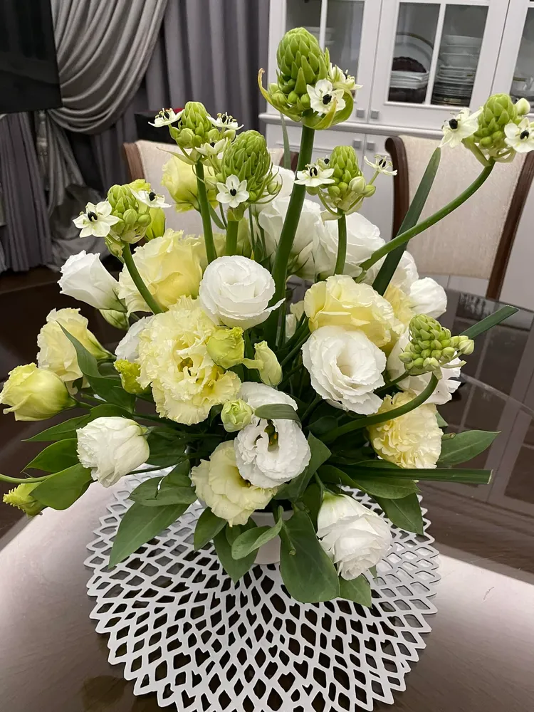 于美人插的盆花。翻攝自于美人臉書