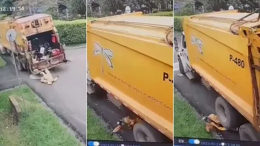 驚悚影片｜垃圾車撞人捲車底「只給1秒逃生」　司機後退變前進把他輾死了