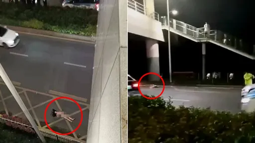 情侶活春宮「激戰到她全裸墜天橋」　男友穿衣逃！婦目擊直呼救不了啦