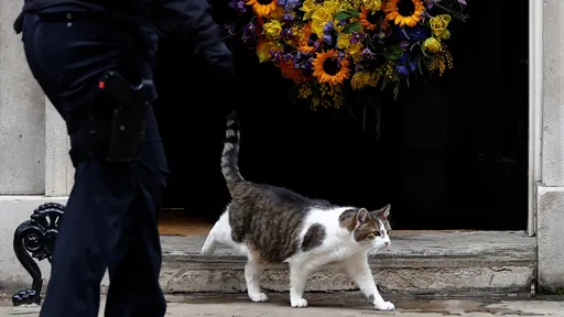 连猫都不毒舌了!英首相官邸「捕鼠官」赖瑞 推特喊:荣光归乌克兰
