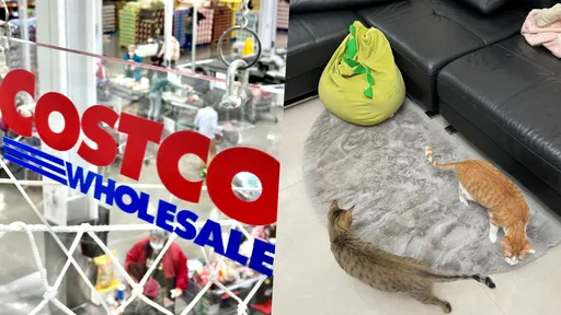 好市多衰中「籤王」 結局逆轉笑翻!她喊:太舒壓了大推