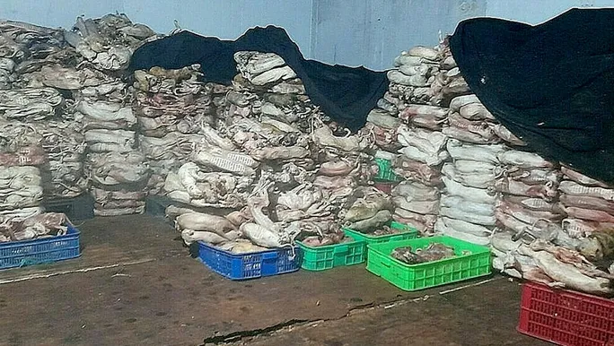 兩千隻貓變成約4噸重的冷凍肉。翻攝《勞動者報》