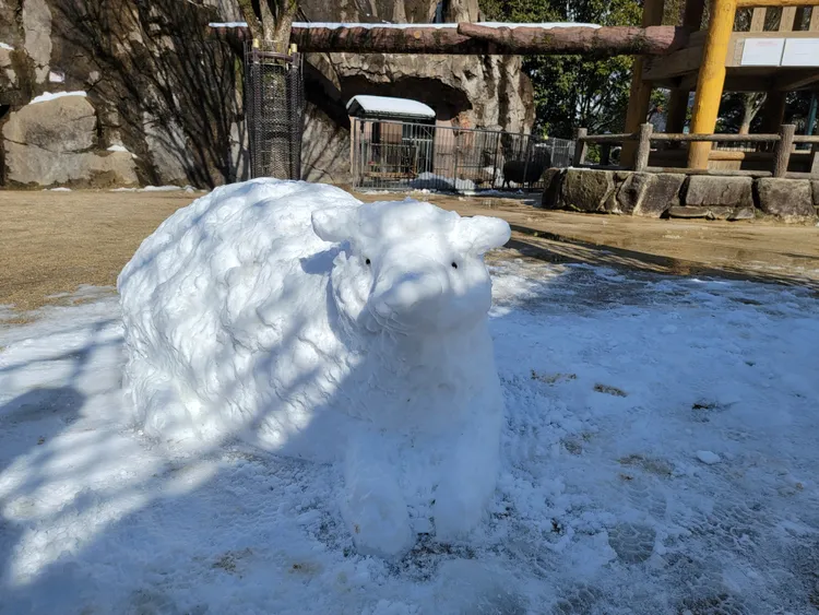 動物園工作人員用雪堆出「雪羊」。翻攝安佐動物園