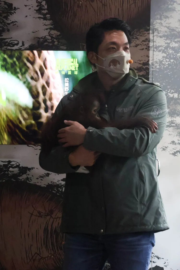 8個月大秀彩十分可愛。彭欣偉攝