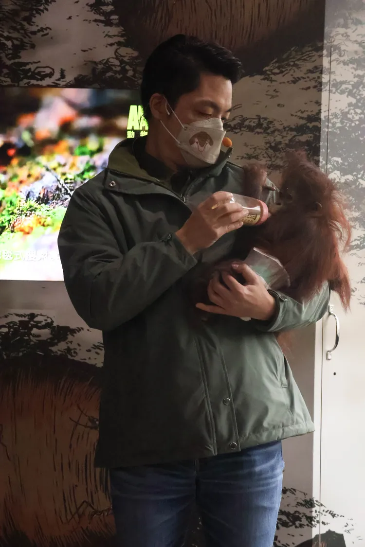 蔣萬安幫秀彩餵奶。彭欣偉攝