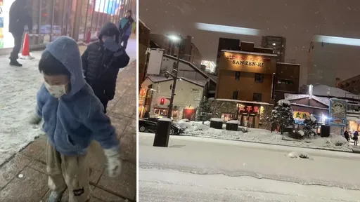 「超強阿嬤」1打4遊日賞雪!藝人夫妻為工作留台灣 網友秒懂笑了