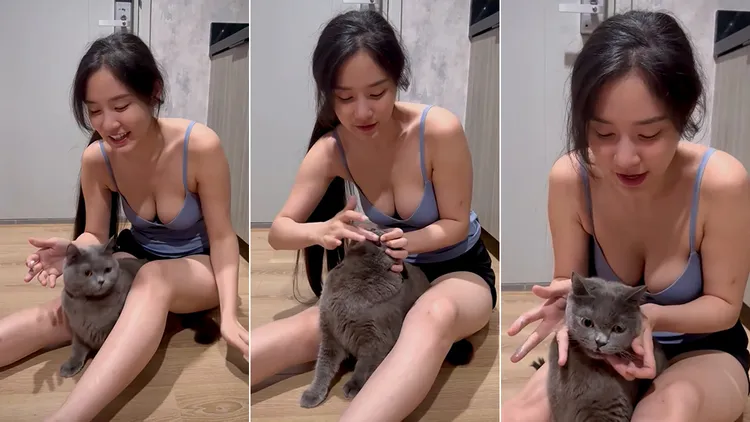 許佳儀示範幫貓刷牙。翻攝自許佳儀IG