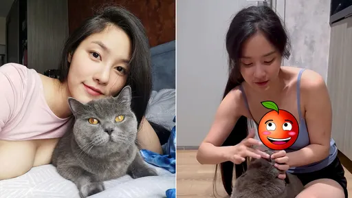 正妹幫貓刷牙「爆乳太奪目」影片瘋傳 網友狂重播想當喵星人