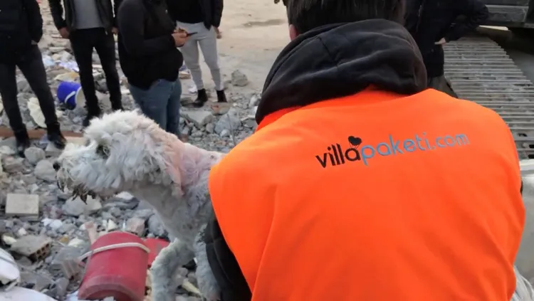 小狗最終獲救。路透社