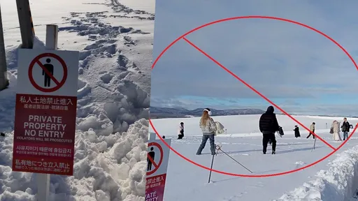 赴日注意!北海道這裡「緊急告知」禁入拍照 旅遊達人:違者送警法辦