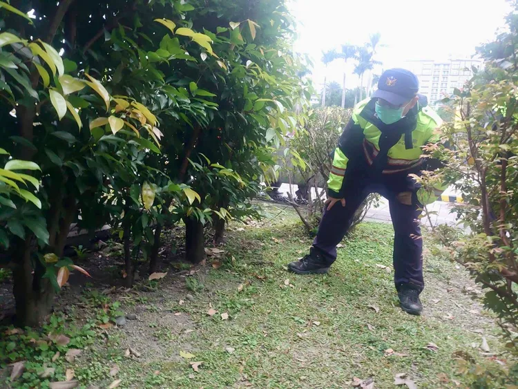 警方針對標定區域及周遭樹叢實施點線面地毯式搜查及探測。翻攝畫面