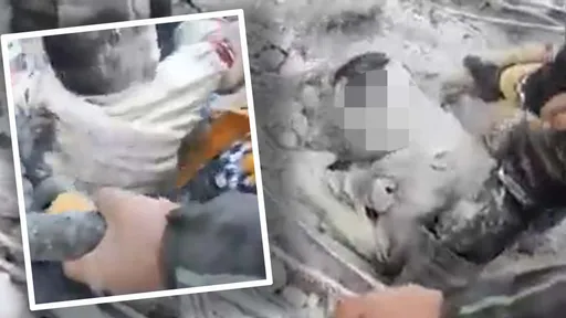 土耳其震撼影片曝！「最後的擁抱」父肉身護兒　搬開屍體後奇蹟發生