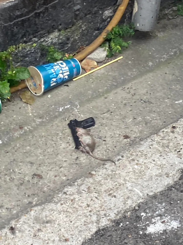 網友在路邊看見死老鼠躺在一把手槍上，指出「在台中⋯誰都可能成為槍口下的亡魂」。翻攝臉書社團《路上觀察學院》