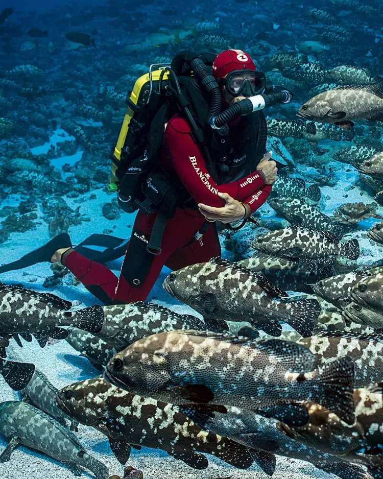 法國水底生物學家Laurent Ballesta參與了多項由寶珀支持的海洋計畫。翻攝laurentballesta IG