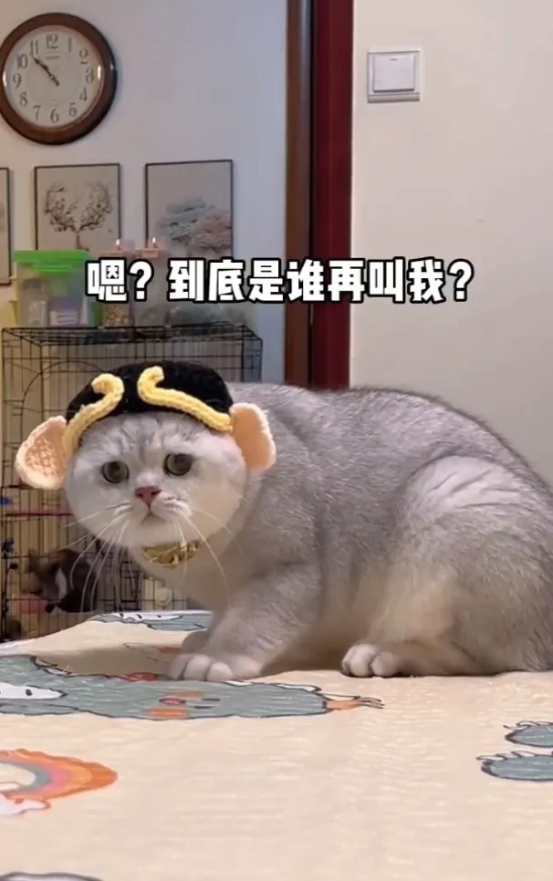 這帽子專屬為偶設計的！非常服貼！IG @7sins46 提供