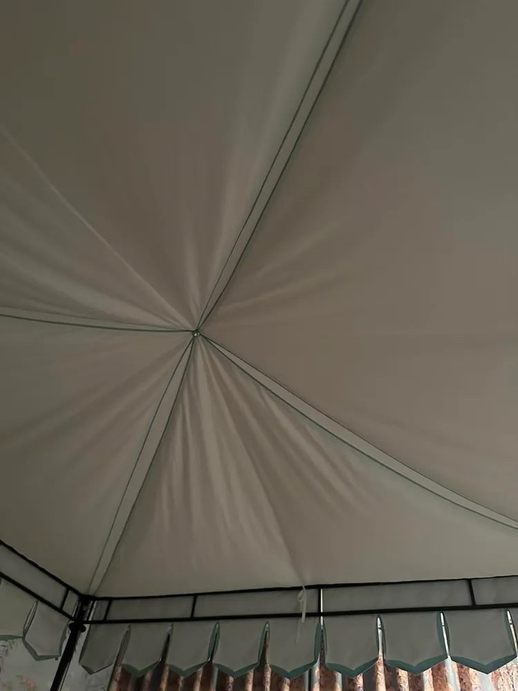 陳文茜透露，自2013年顱部腺體蜂窩組織炎後，她的頭部已經不能吹風。翻攝自文茜的世界周報 Sisy's World News臉書