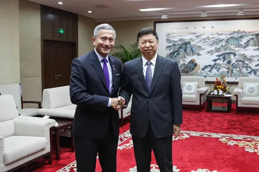 國台辦主任見外國外長 朱鳳蓮:「講台灣問題」是工作之一