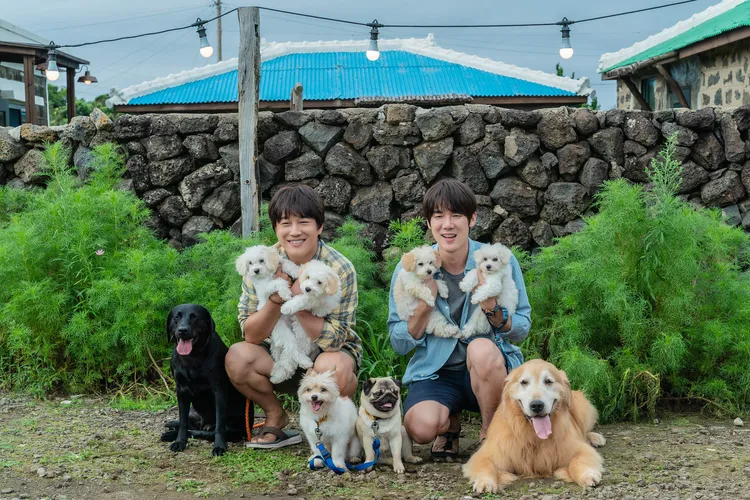 柳演錫（右）繼《急診室的春天2》後，時隔15年再與車太鉉合作《超完美狗保姆》。采昌國際提供