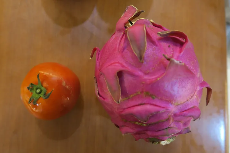 紅色蔬果有番茄及火龍果。彰化醫院提供