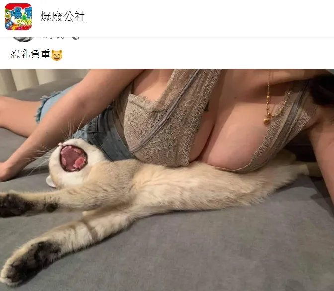 發文者稱此為「忍乳負重」。翻攝自臉書「爆廢公社」