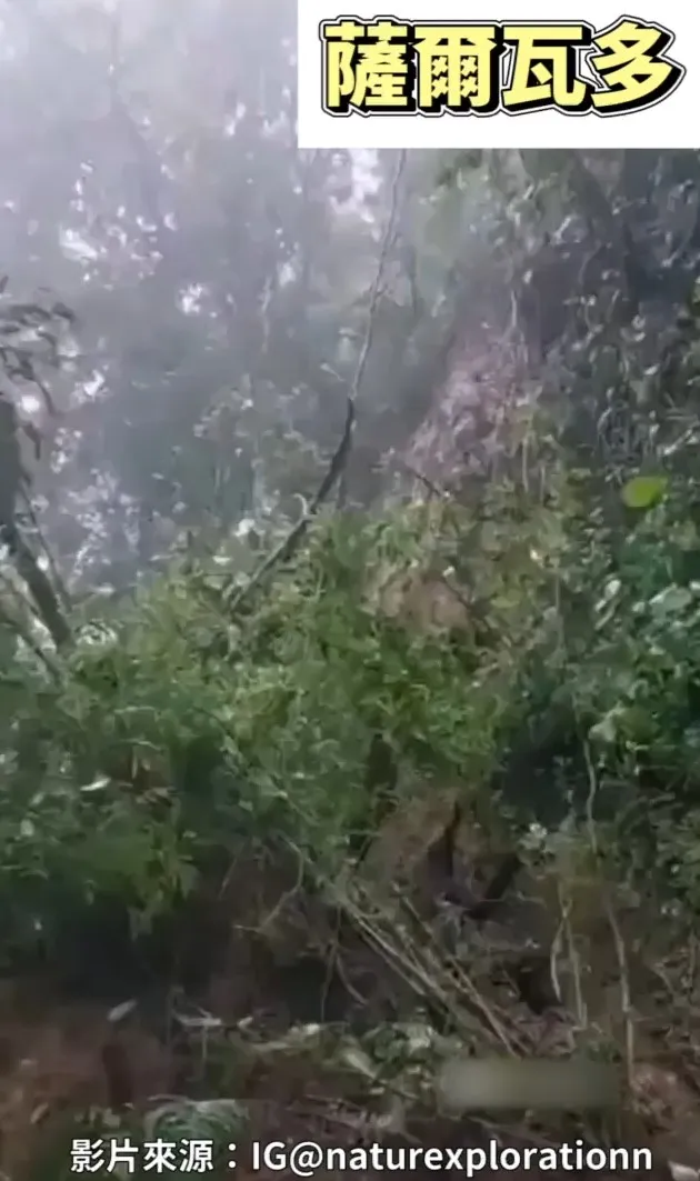 土石流崩塌，生死以瞬間。IG@naturexplorationn 提供