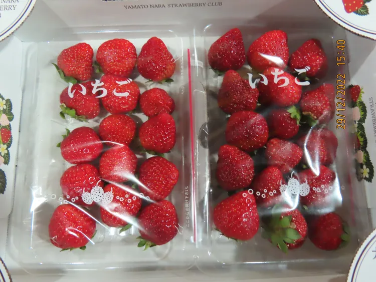 今年累計11批日本草莓違規。食藥署提供