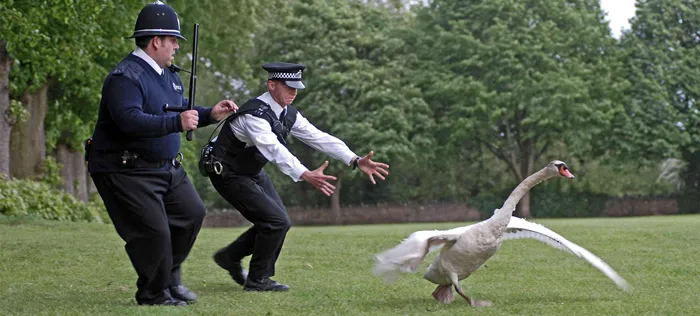 《終棘警探Hot Fuzz》劇照。翻攝網路