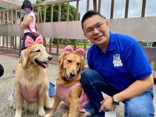 蜘蛛雙盜橫行北市!北市議員也受害「小孩壓歲錢被偷光」